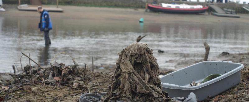 В британской реке Темза появился остров из влажных салфеток